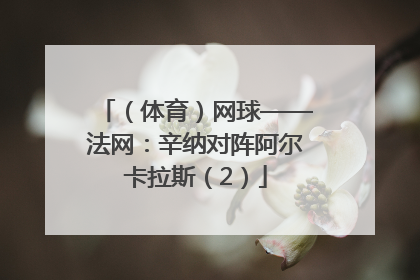 （体育）网球——法网：辛纳对阵阿尔卡拉斯（2）