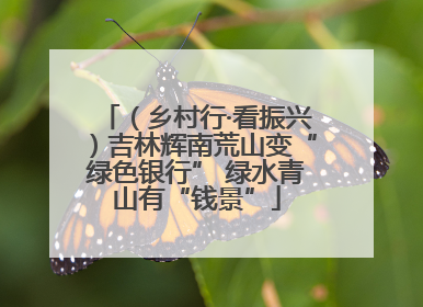 （乡村行·看振兴）吉林辉南荒山变“绿色银行” 绿水青山有“钱景”