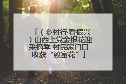 （乡村行·看振兴）山西上党金银花迎采摘季 村民家门口收获“致富花”
