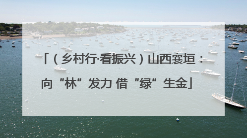 （乡村行·看振兴）山西襄垣：向“林”发力 借“绿”生金