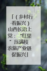 （乡村行·看振兴）山西长治上党：“红果”压满枝 农旅产业链促振兴