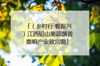 （乡村行·看振兴）江西铅山果蔬飘香 奏响产业致富曲