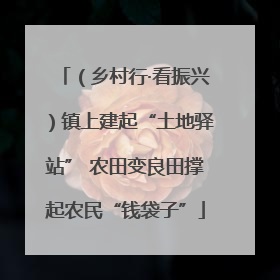 （乡村行·看振兴）镇上建起“土地驿站” 农田变良田撑起农民“钱袋子”