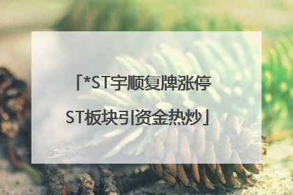 *ST宇顺复牌涨停 ST板块引资金热炒
