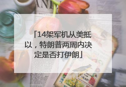 14架军机从美抵以，特朗普两周内决定是否打伊朗