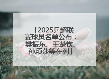 2025乒超联赛球员名单公布：樊振东、王楚钦、孙颖莎等在列