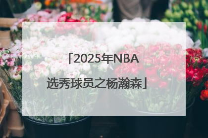 2025年NBA选秀球员之杨瀚森
