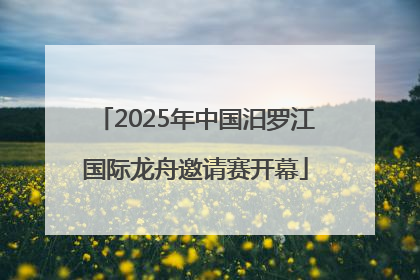2025年中国汨罗江国际龙舟邀请赛开幕