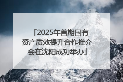 2025年首期国有资产质效提升合作推介会在沈阳成功举办