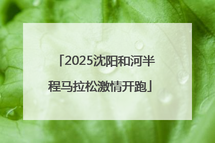 2025沈阳和河半程马拉松激情开跑