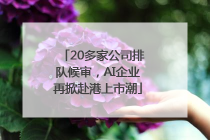 20多家公司排队候审，AI企业再掀赴港上市潮