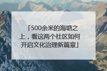 500余米的海塘之上，看这两个社区如何开启文化治理新篇章