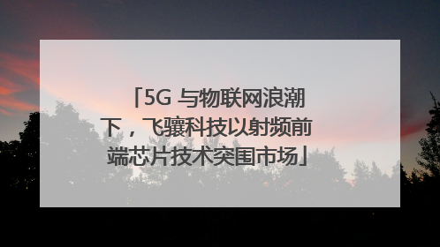 5G 与物联网浪潮下，飞骧科技以射频前端芯片技术突围市场