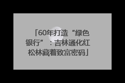 60年打造“绿色银行”：吉林通化红松林藏着致富密码