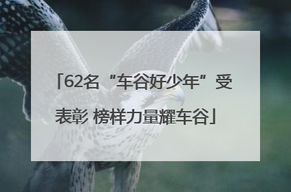 62名“车谷好少年”受表彰 榜样力量耀车谷