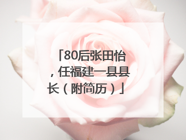 80后张田怡，任福建一县县长（附简历）