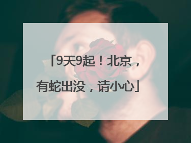 9天9起！北京，有蛇出没，请小心