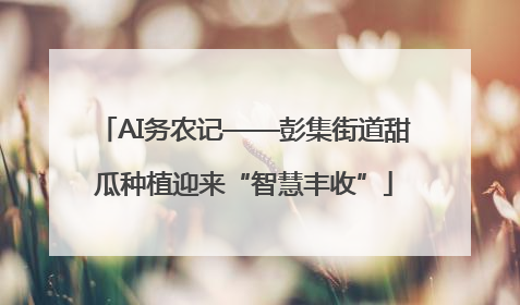 AI务农记——彭集街道甜瓜种植迎来“智慧丰收”