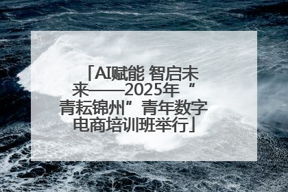 AI赋能 智启未来——2025年“青耘锦州”青年数字电商培训班举行